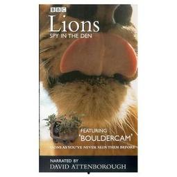 兽穴 第一季,荒野求生，人性与野性的较量