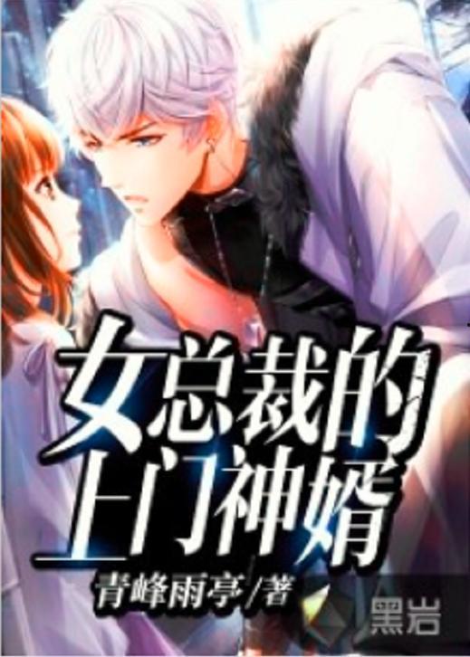 女总裁的豪龙医婿,女总裁的神秘守护者