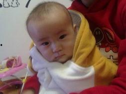 我家龙崽上热搜了,热搜背后有何故事？