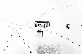 无可奈何,探寻命运的无奈与抗争