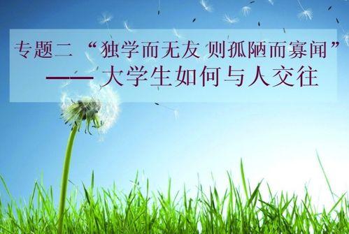 喧哗独学,探寻孤独与成长的故事