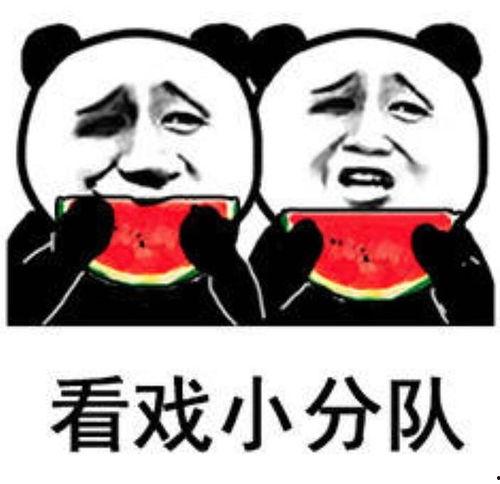 吃瓜表情包,揭秘网络时代的幽默密码